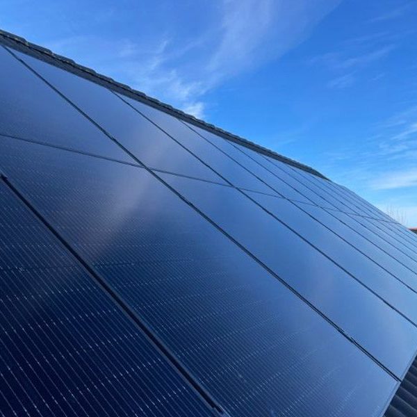 IMG_2530-copy IMG_2530-copy